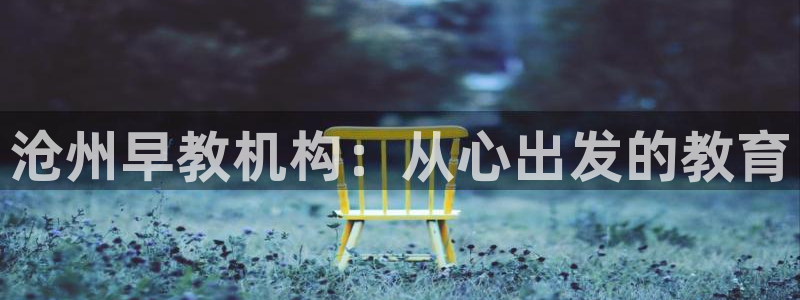 天顺娱乐械675138：沧州早教机构：从心出发的教育