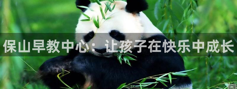 天顺娱乐订房：保山早教中心：让孩子在快乐中成长