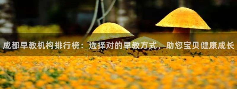 天顺娱乐垂943994：成都早教机构排行榜：选择对的早教方式，助您宝贝健康成长