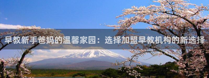 天顺娱乐千67五壹叁八:早教新手爸妈的温馨家园:选择加盟早教机构的新选择