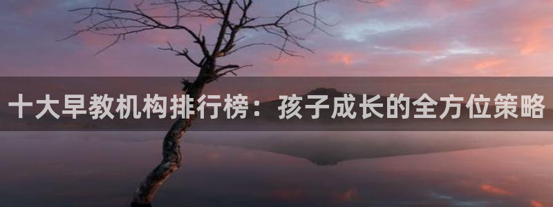 天顺娱乐谟943994：十大早教机构排行榜：孩子成长的全方位策略