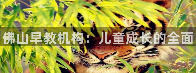 天顺娱乐毡78778：佛山早教机构：儿童成长的全面