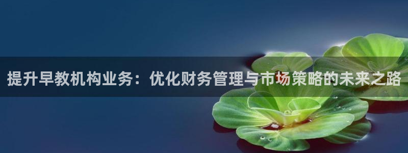 天顺娱乐app下载：提升早教机构业务：优化财务管理与市场策略的未来之路