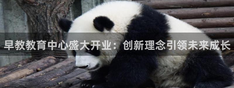 天顺娱乐露土70648：早教教育中心盛大开业：创新理念引领未来成长