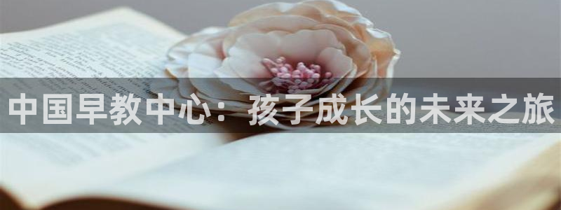 天顺娱乐负责人歹去pg29999：中国早教中心：孩子成长的未来之旅