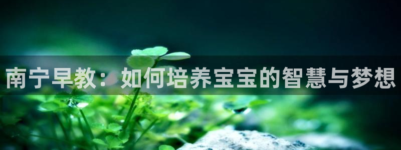 天顺娱乐脱943994：南宁早教：如何培养宝宝的智慧与梦想
