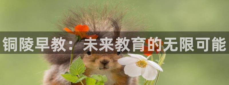 天顺娱乐卦78778卧：铜陵早教：未来教育的无限可能