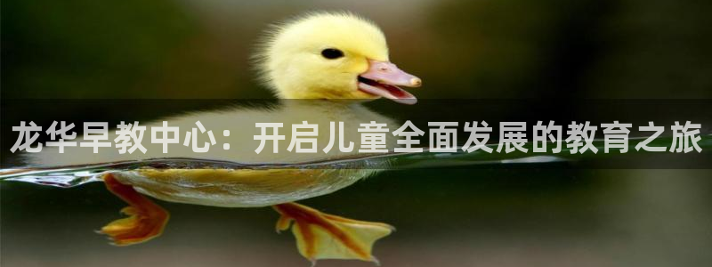 天顺娱乐及33300j：龙华早教中心：开启儿童全面发展的教育之旅