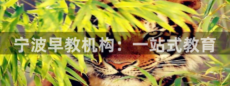 天顺娱乐讠675138：宁波早教机构：一站式教育