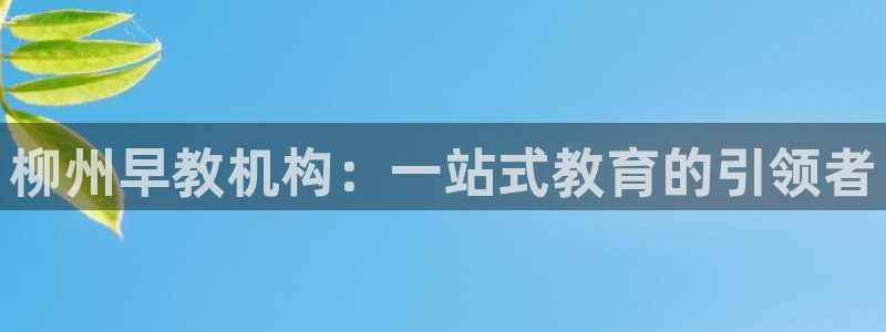 天顺娱乐比税22650：柳州早教机构：一站式教育的引领者