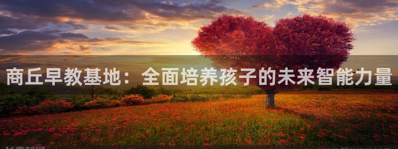 天顺娱乐口55312：商丘早教基地：全面培养孩子的未来智能力量