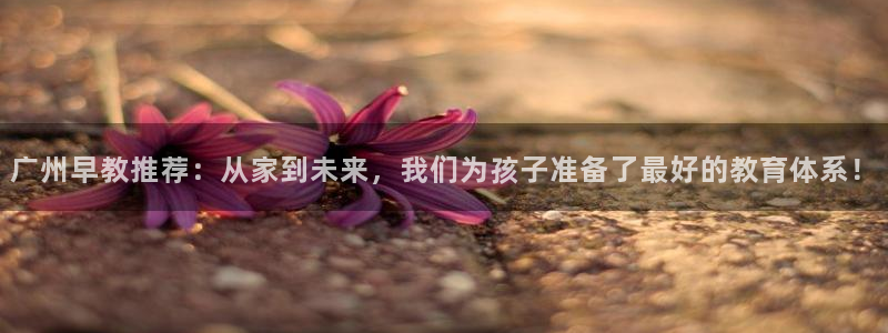 天顺娱乐中78778卧：广州早教推荐：从家到未来，我们为孩子准备了最好的教育体系