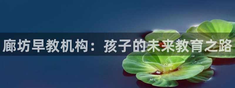 天顺娱乐世3300：廊坊早教机构：孩子的未来教育之路