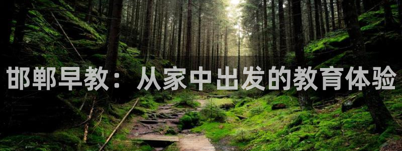 天顺娱乐主管下：邯郸早教：从家中出发的教育体验