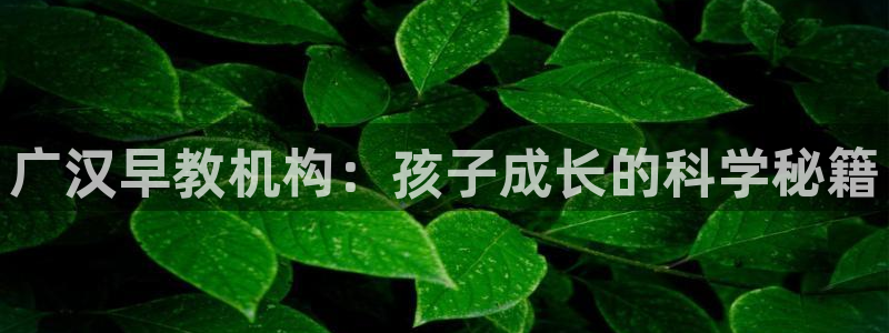 天顺休闲娱乐中心怎么样：广汉早教机构：孩子成长的科学秘籍