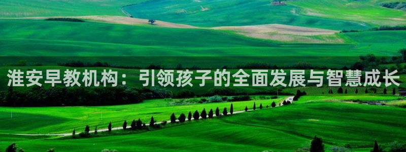 天顺娱乐平台开户：淮安早教机构：引领孩子的全面发展与智慧成长