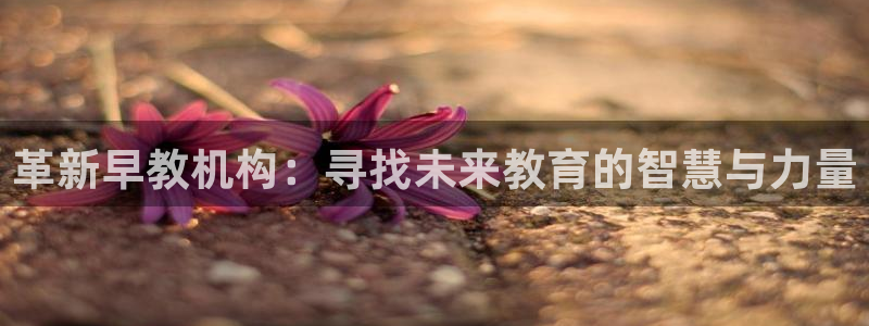 天顺娱乐负责人又慧pg22650：革新早教机构：寻找未来教育的智慧与力量