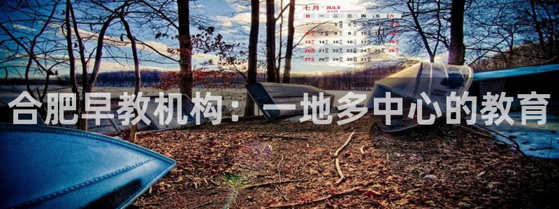 天顺娱乐火儿pg22650：合肥早教机构：一地多中心的教育