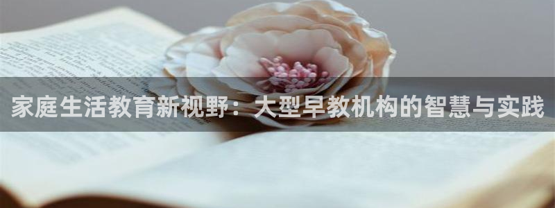 天顺娱乐负责人王环境优p29999：家庭生活教育新视野：大型早教机构的智慧与实践