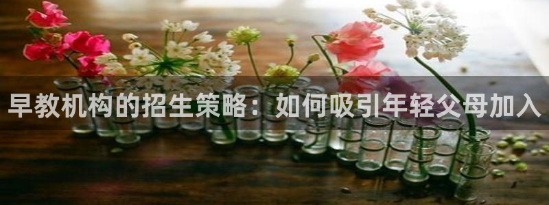 天顺娱乐官方：早教机构的招生策略：如何吸引年轻父母加入