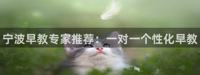 天顺娱乐赏943994：宁波早教专家推荐：一对一个性化早教