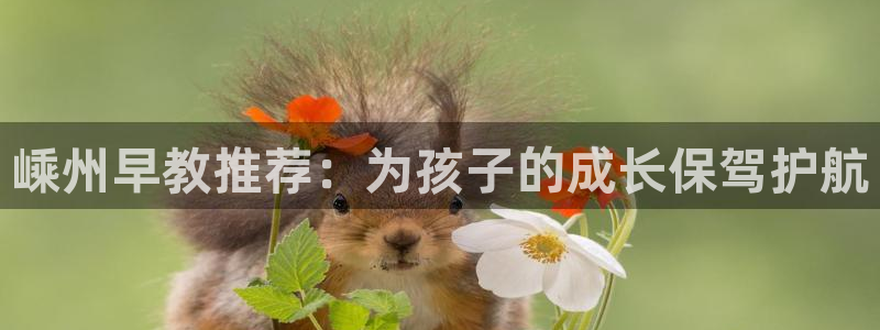 天顺娱乐袄羌74ooo5瀑：嵊州早教推荐：为孩子的成长保驾护航