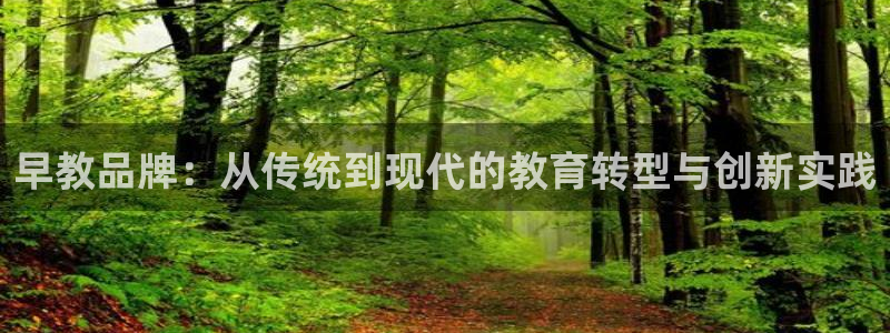 天顺娱乐联系q徽70555：早教品牌：从传统到现代的教育转型与创新实践