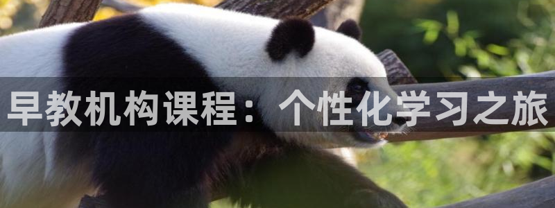 天顺娱乐地78778卧:早教机构课程:个性化学习之旅